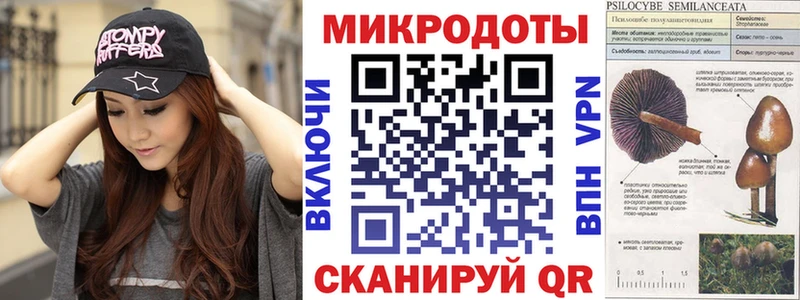 hydra маркетплейс  Новороссийск  Галлюциногенные грибы Psilocybe 